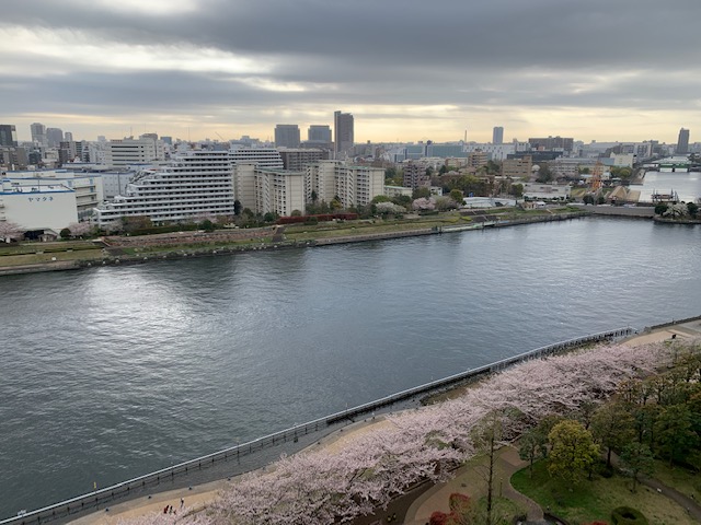 春らしい優しい朝「前進あるのみ」