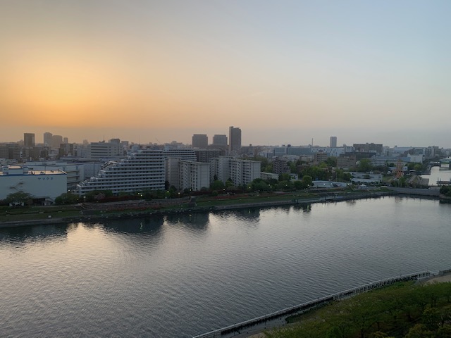 穏やかで温かい夜明け「やった方がいい」