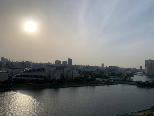 大きな太陽の朝「すぐに動こう」