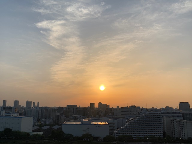 明るい太陽「しなやかに たおやかに」