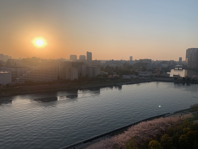 桜もまだ見ごろ「大切なのは今」