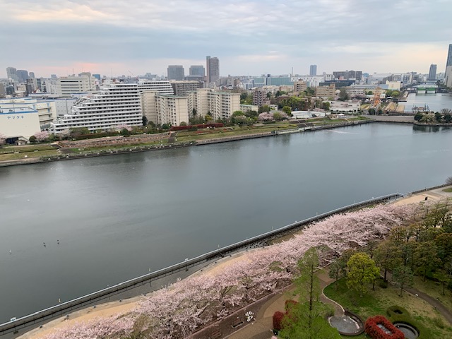 明るい花曇りの朝「笑い声で皆な幸せに」