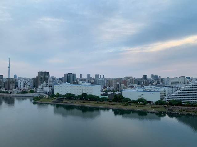 淡い色合いの夜明け「感情に流されない」