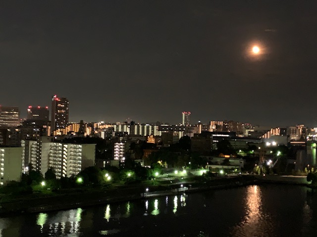 今夜も綺麗なお月様