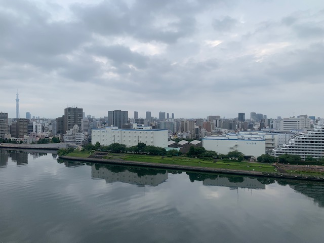 静かな夜明け「美しさは姿勢」