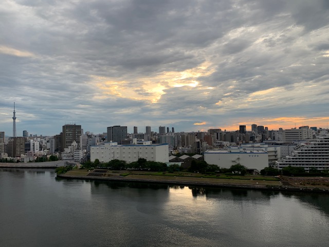 鳥たちの平和なさえずりの夜明け「有言実行」