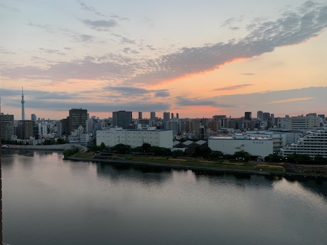 どことなく静かな鳴き声の蝉「人の笑顔」