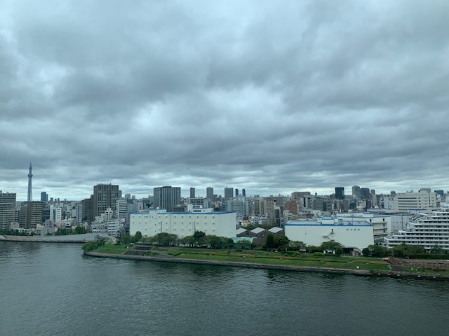 久しぶりの雨「先手必勝」