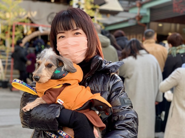 まーちゃんと築地の波除神社へ初詣