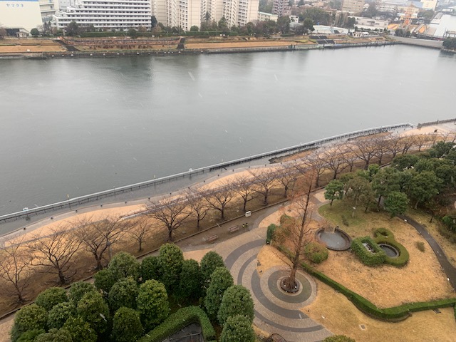 雨から雪になりました