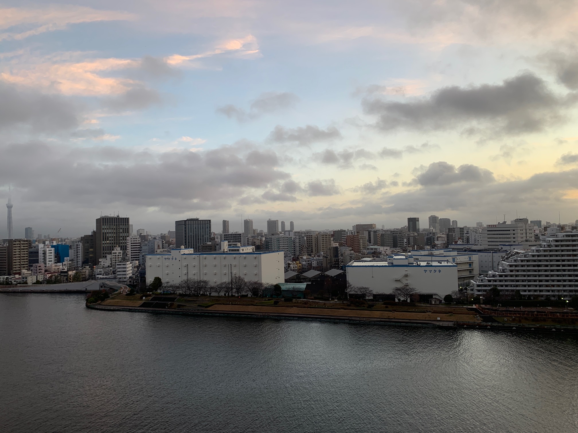 そよ風が吹き雲が静かに流れる朝「体の働きに感謝して」