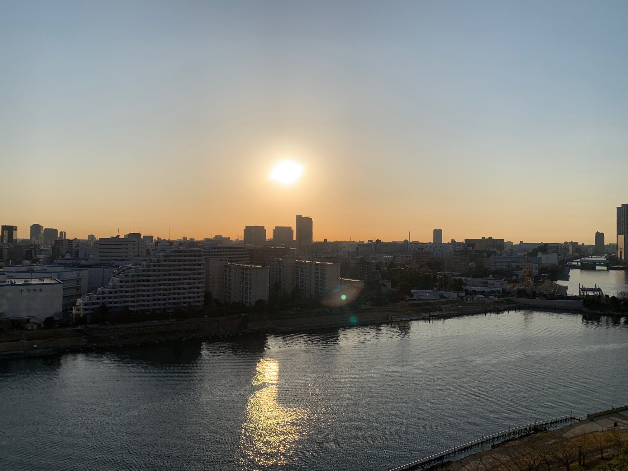 夜明けも早くなりました「自分を守れるのは自分だけ」