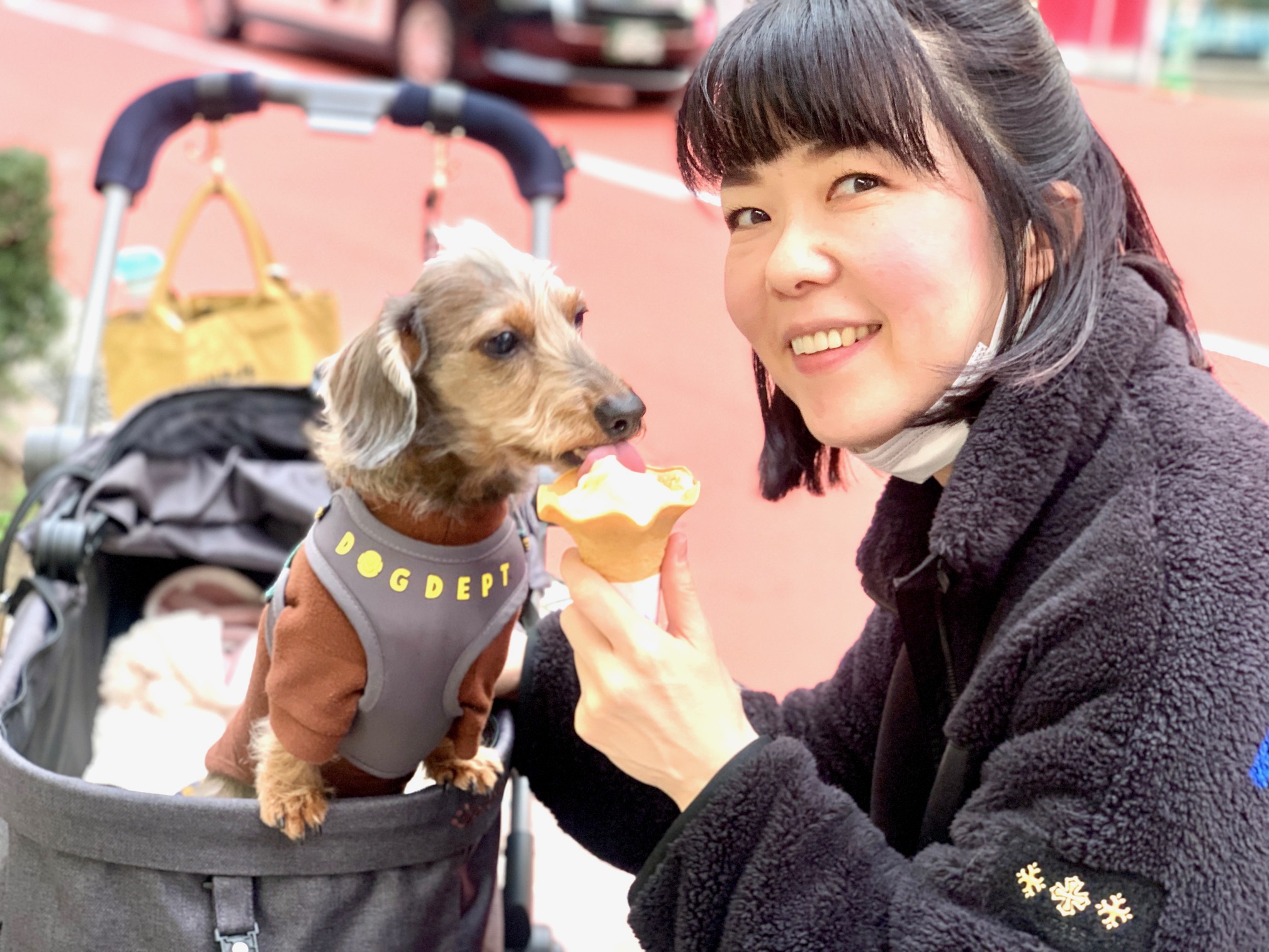 まーちゃんの渋いお散歩シリーズ