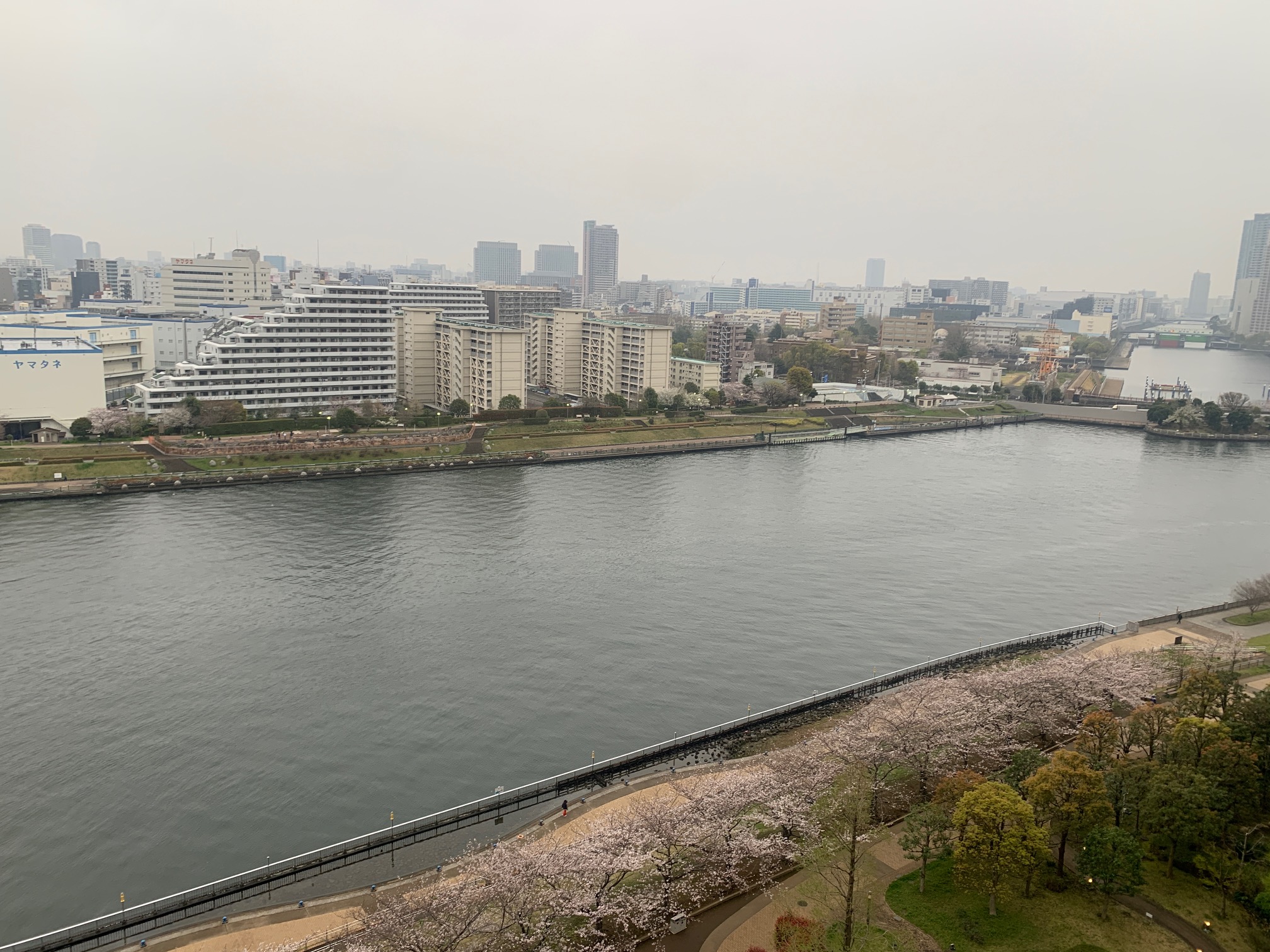 花曇りの朝「やってみないとわからない」