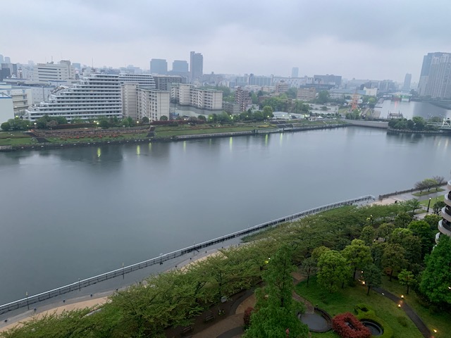 新緑が深る雨の朝「今日より明日」