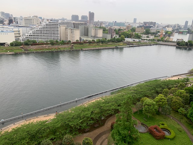 雨上がりの朝「一旦基本に立ち返る」