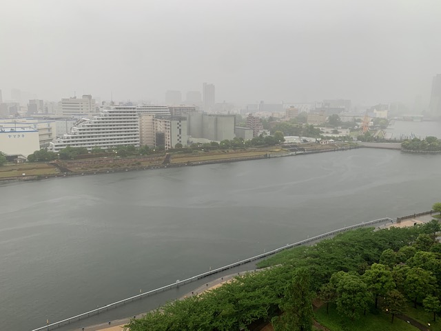 今朝は一転雨の一日「優しさ」