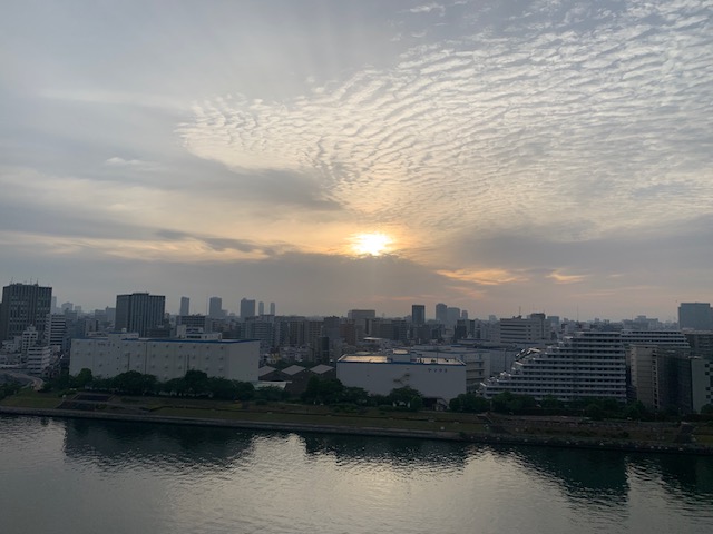 綺麗なうろこ雲「後悔はしなくていい」