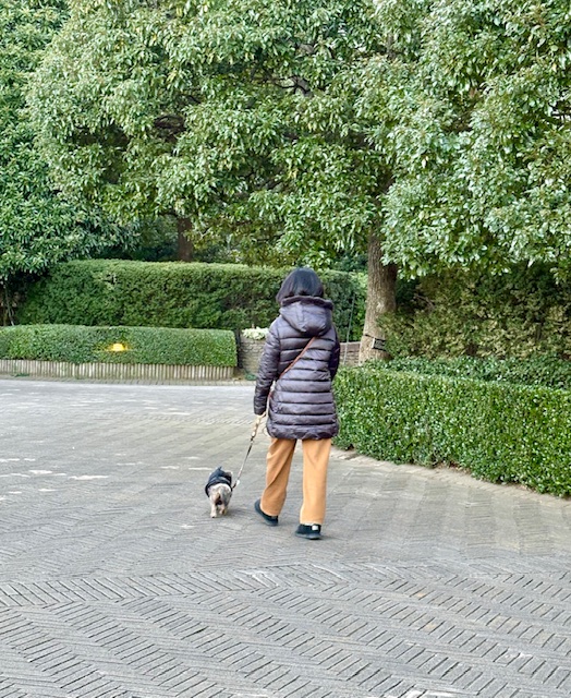 IMG 1063