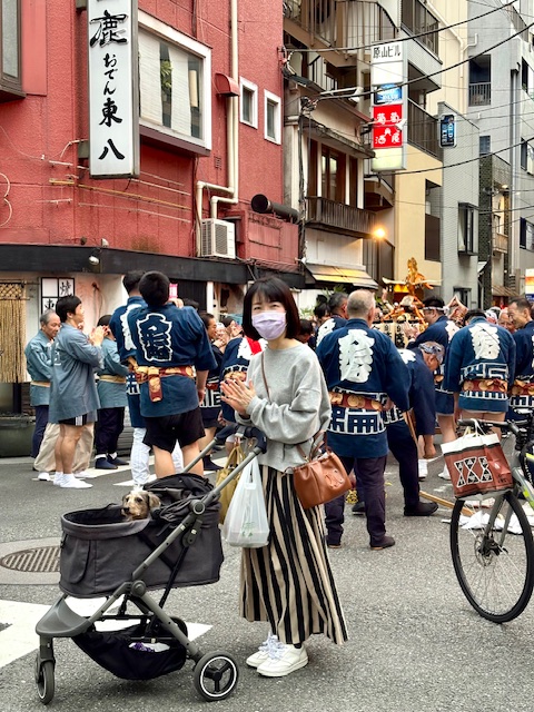 人形町甘酒横丁でお神輿に遭遇