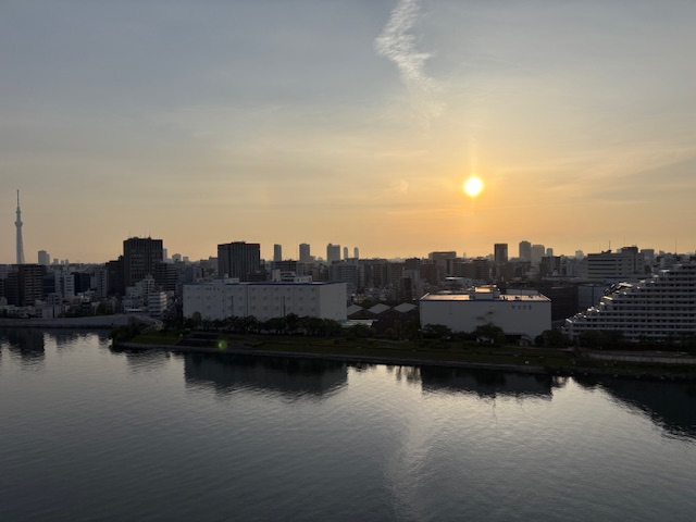 寝たと思ったらもう夜明け「余計なこと」