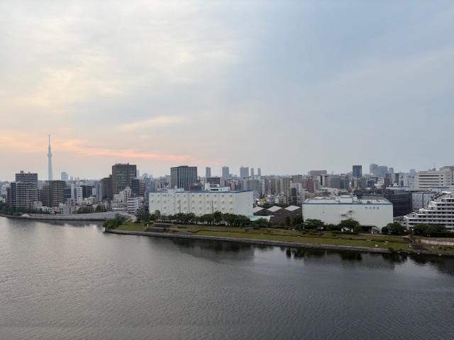 涼しく静かな夜明け「思いは形に」