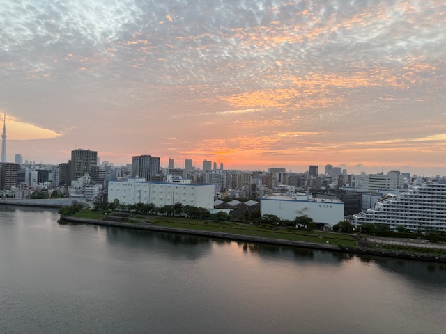 うろこ雲が綺麗な夜明け「思考と心の不一致」