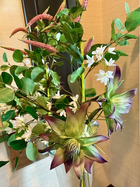 植物パワー