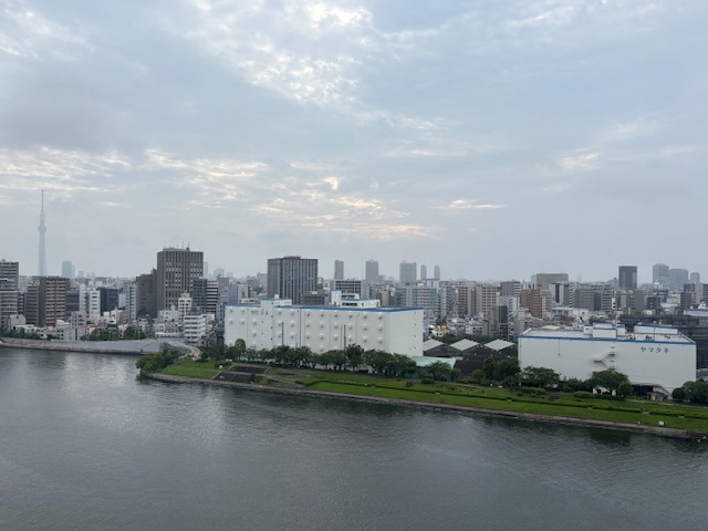 そよ風少し覗く陽射しが嬉しい朝「直感」