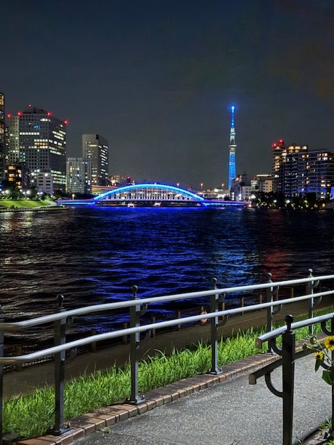 まーちゃんと夜のお散歩