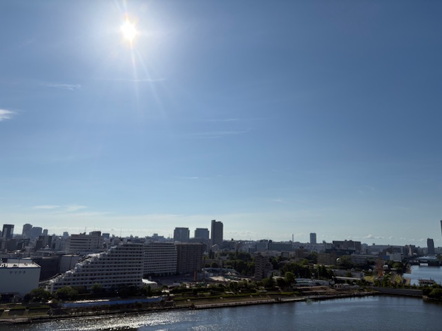 今日も快晴「たおやかに」
