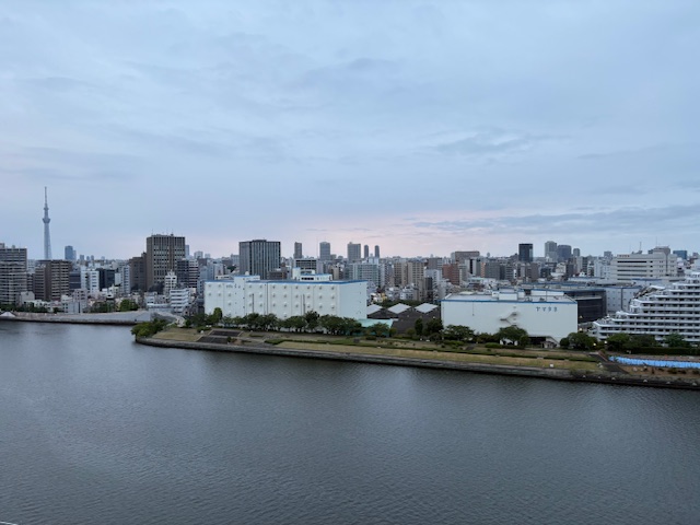 涼やかな鳥の声が響き渡る穏やかな朝「仕事に関する能力」