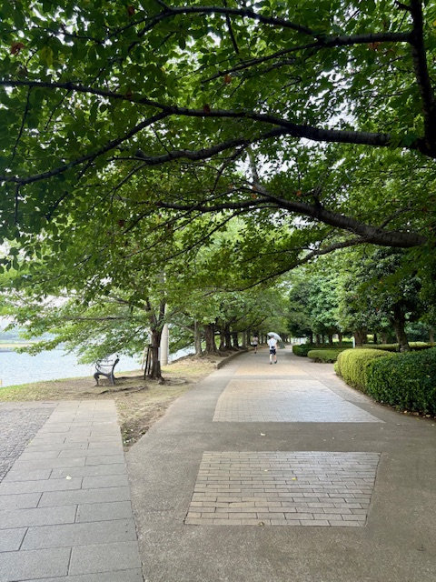 ウォーキング30日目にして初めての雨空