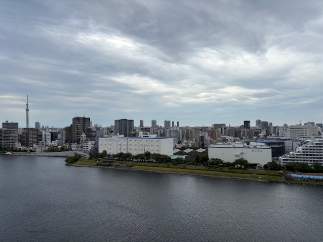 暑い雲の夜明け「本当の問題点」