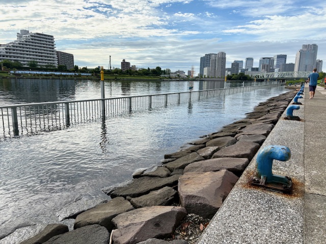 リバーシティの風景、大好きです