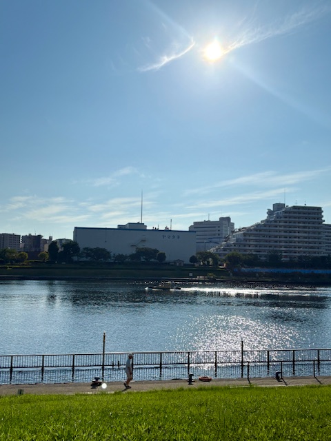 元気な朝陽「信じたら任せる」