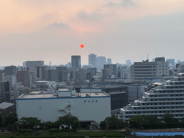 真っ赤な太陽今日も晴れマークがいっぱい「自分で決断」