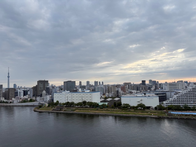 静かな夜明け「言葉を味方に」