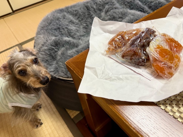 まーちゃんも佃煮ご相伴に預かっています