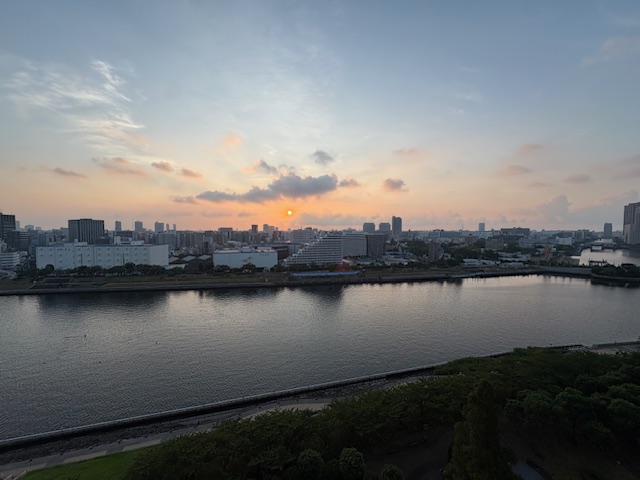 今朝は蝉が静か「あなたはどう思いますか？」