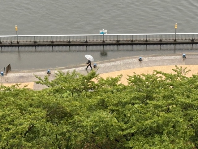 今朝も雨の朝「何気ない行動」