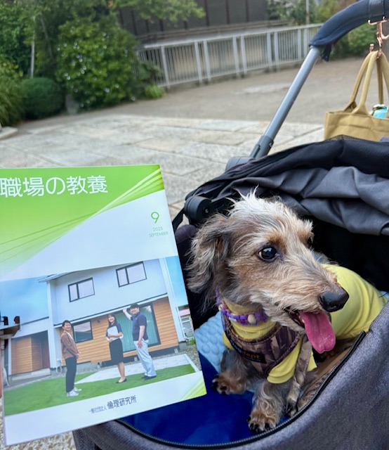 今月もまーちゃん「職場の教養」