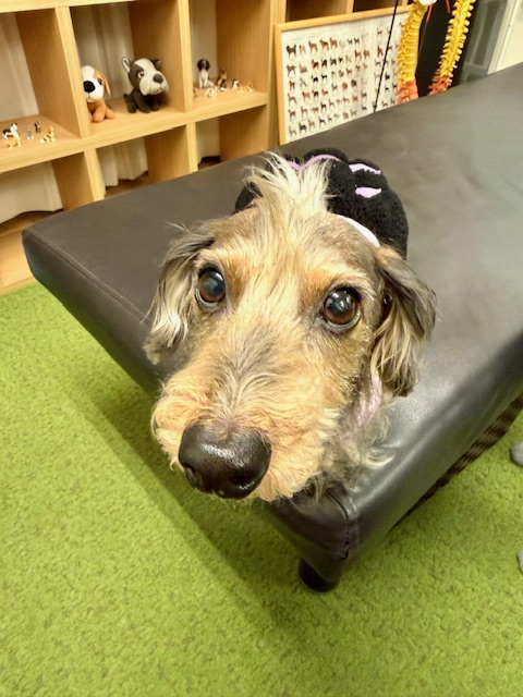 こんばんはマーゴです！