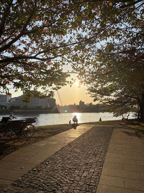 朝の気まぐれウォーキング