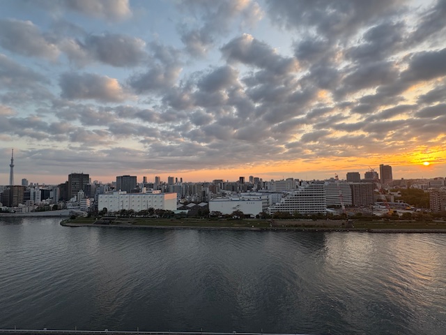 朝陽が輝き鳥が囀る穏やかな朝「機微やもののあはれ」