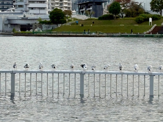 大収穫の気まぐれウォーキング