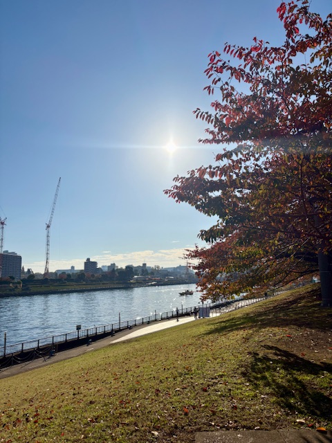 朝の気まぐれショートウォーキング