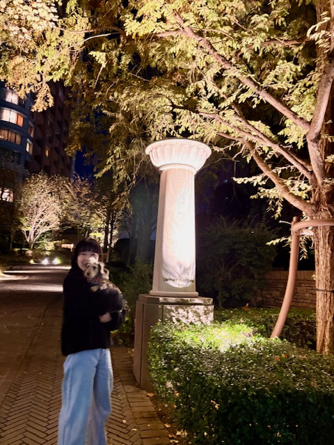 すっかり暗くなりましたが夕方のお散歩