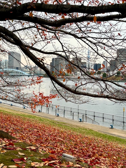 気まぐれウォーキング