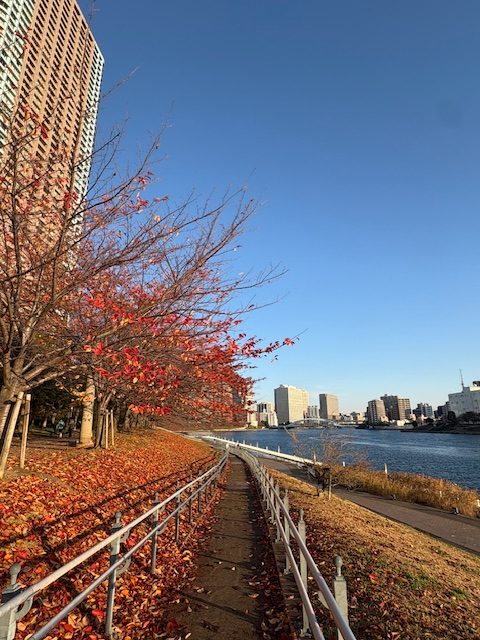 気まぐれウォーキング